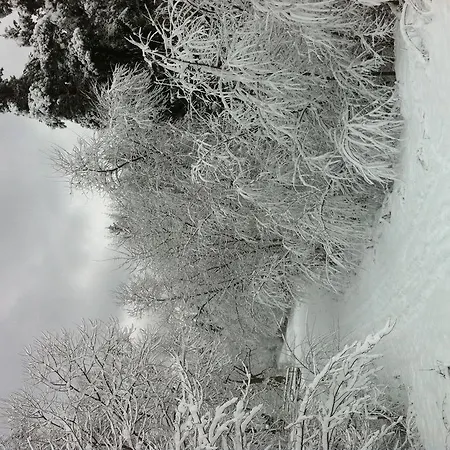 Chalet Lake *